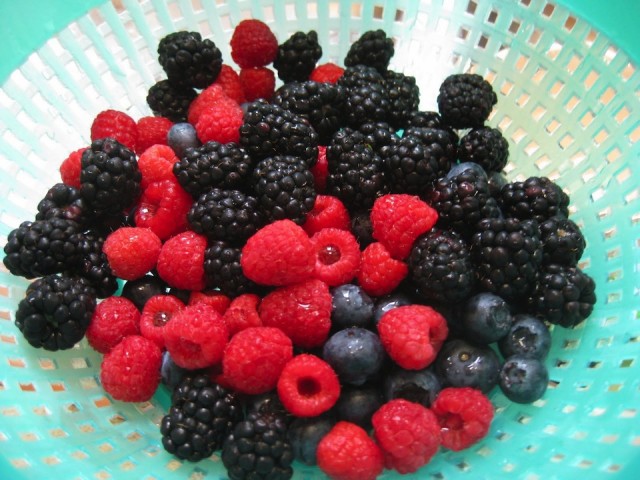 mixed berries.jpg